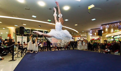 Imagen del negocio Conservatorio Coppelia en Vigo, Pontevedra