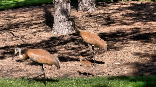 Golf Club «Makray Memorial Golf Club», reviews and photos, 1010 S Northwest Hwy, Barrington, IL 60010, USA