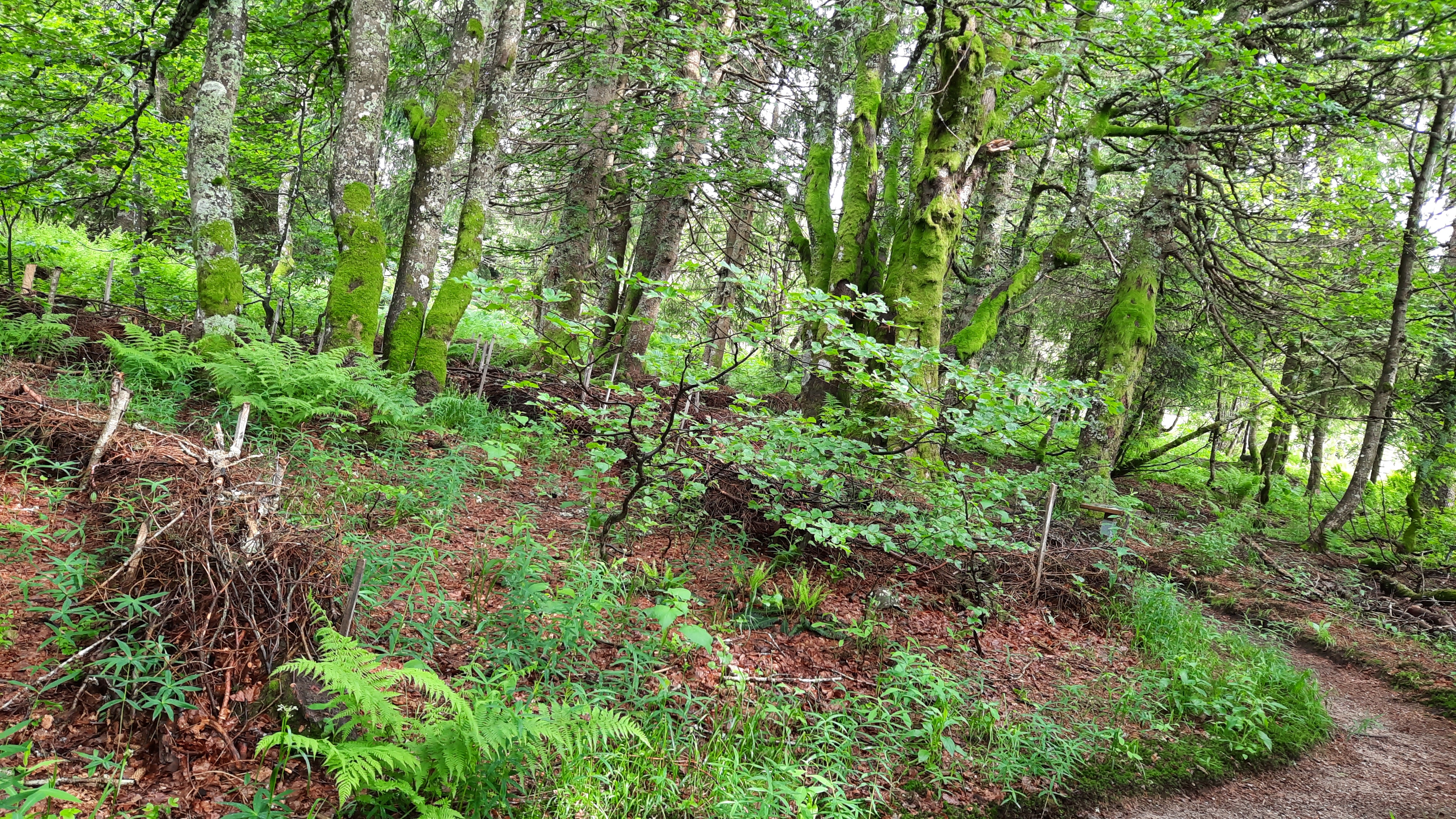 Photo n° 3 de l'avis de Marie-Cécile.A fait le 30/06/2021 à 07:17