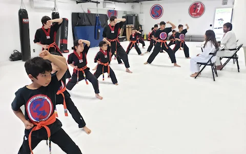 Blue Dragon Taekwondo/Muay Thai/ 99 Jiu-Jitsu image