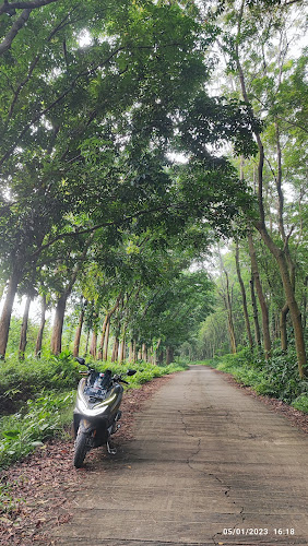 Hutan Nasional di Kabupaten Purwakarta: Menjelajahi Tempat-tempat Menarik yang Tersembunyi