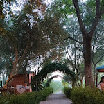 Photo n°5 de l'avis de Nadia.i fait le 25/08/2023 à 11:16 sur le  Casa di cucina Villa la Boccia à Massa Marittima