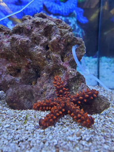 Pet Supply Store «Petco Animal Supplies», reviews and photos, 2140 E Blvd St, Kokomo, IN 46902, USA