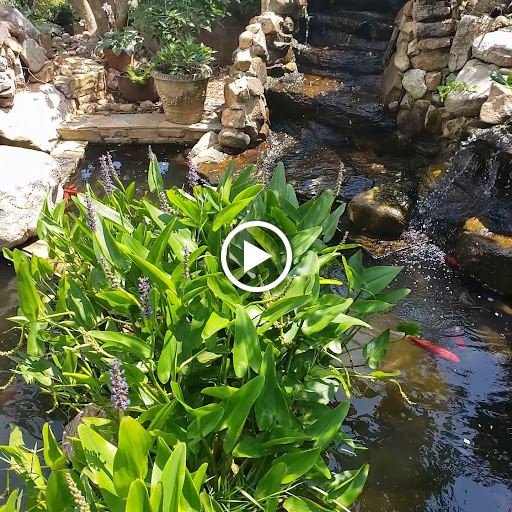 Vineyard «Frogtown Cellars», reviews and photos, 700 Ridge Point Dr, Dahlonega, GA 30533, USA