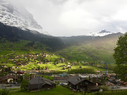 Grindelwald Tours