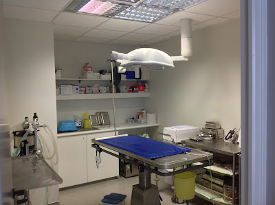 Clinique Vétérinaire de Wormhout à Wormhout
