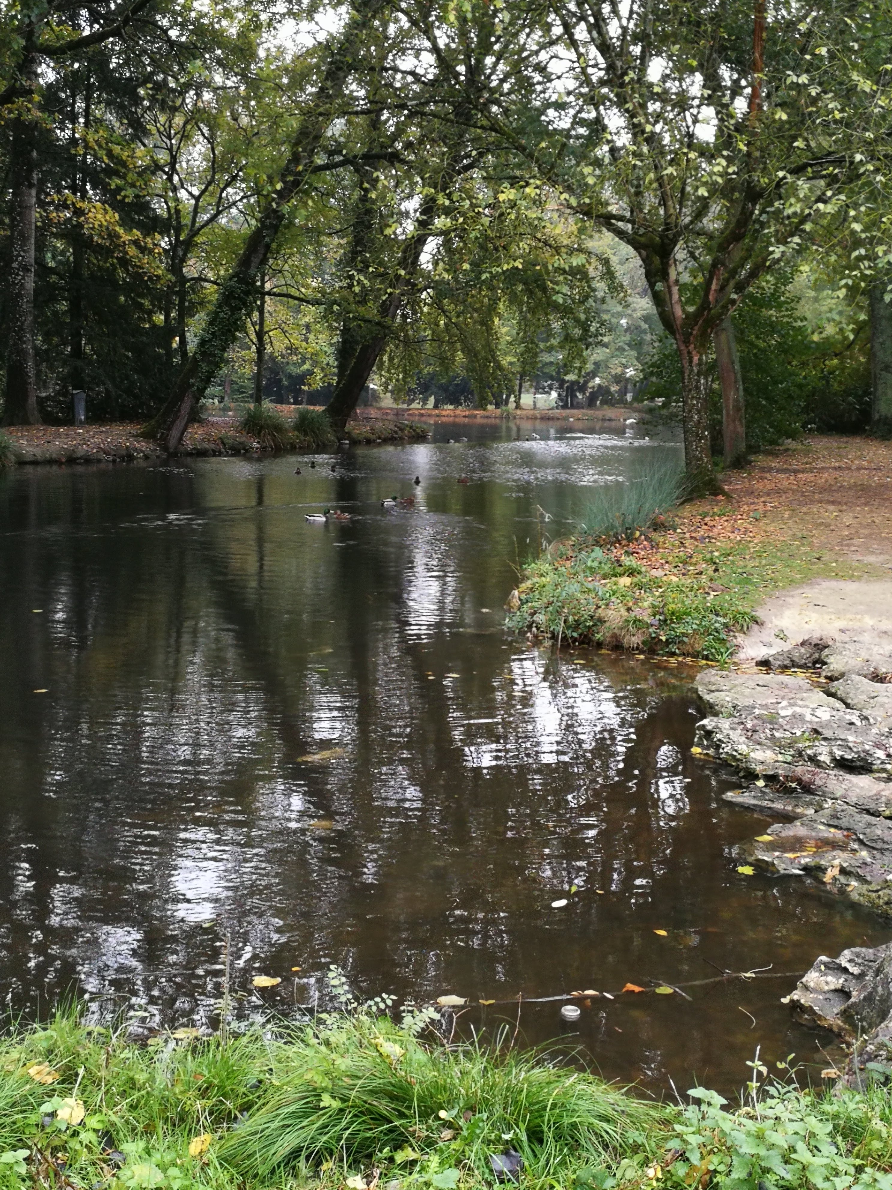 Photo n° 8 de l'avis de Francoise.o fait le 30/08/2018 à 14:33