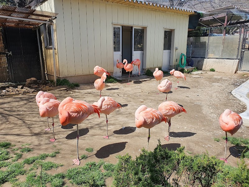 長野市城山動物園