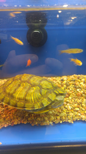 Pet Supply Store «PetSmart», reviews and photos, 73 RHL Blvd, South Charleston, WV 25309, USA