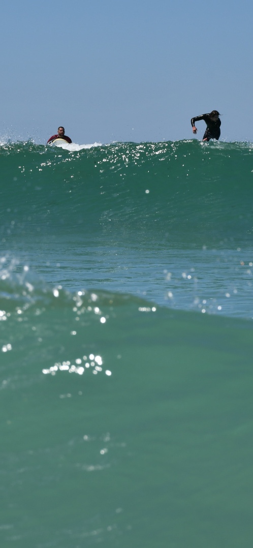 Photo n° 19 de l'avis de Phidis.a fait le 13/07/2022 à 23:31