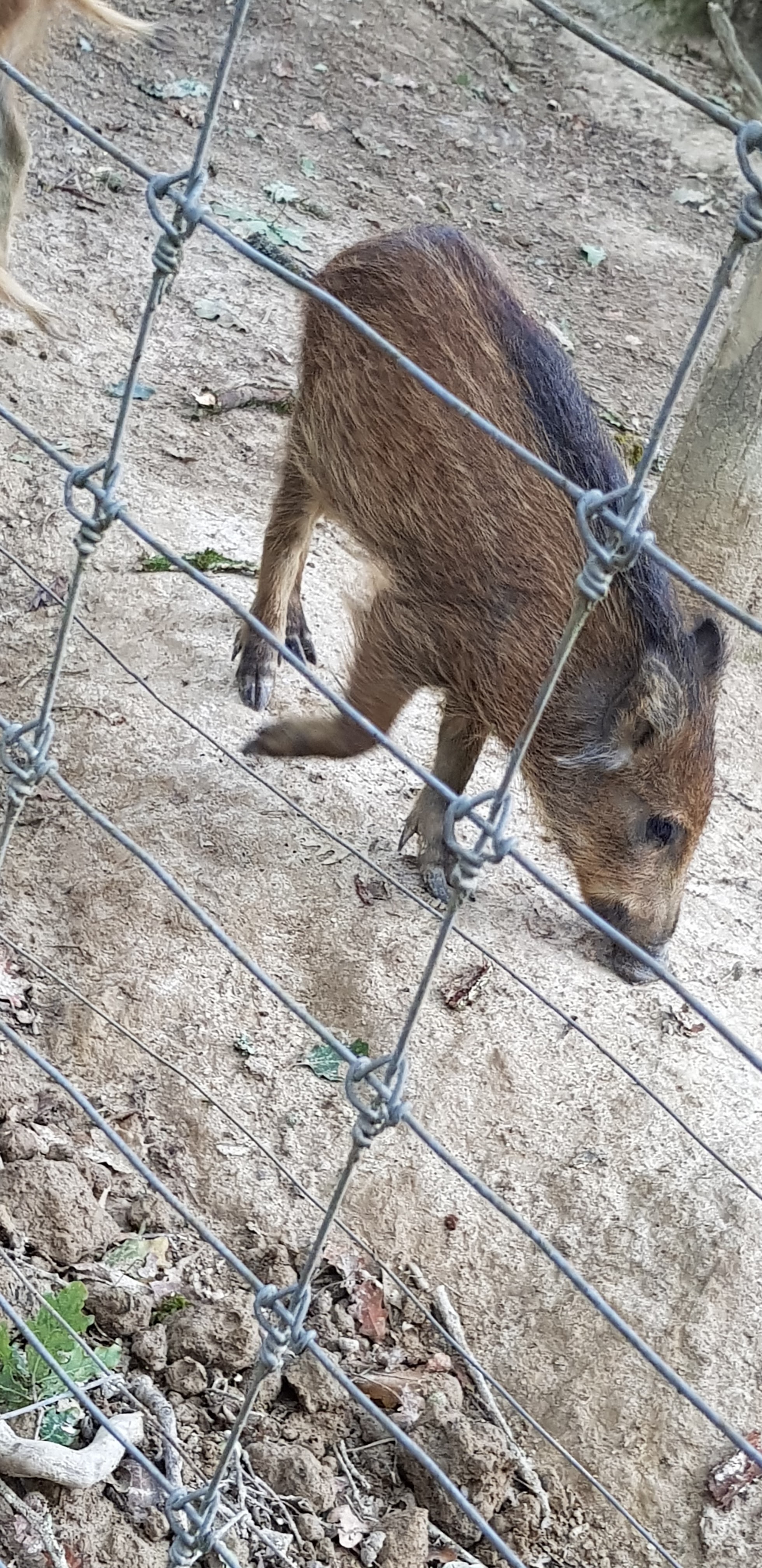 Photo n° 3 de l'avis de Alex.L fait le 30/08/2018 à 18:15