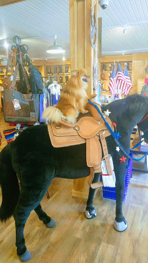 Tack Shop «Green Mountain Horse & Tack», reviews and photos, 1327 Sharon Copley Rd, Wadsworth, OH 44281, USA