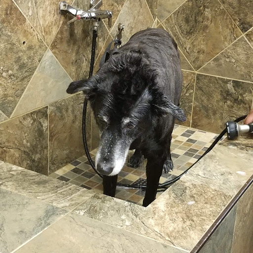 Pet Store «Pet Valu», reviews and photos, 22750 Newcut Rd, Clarksburg, MD 20871, USA