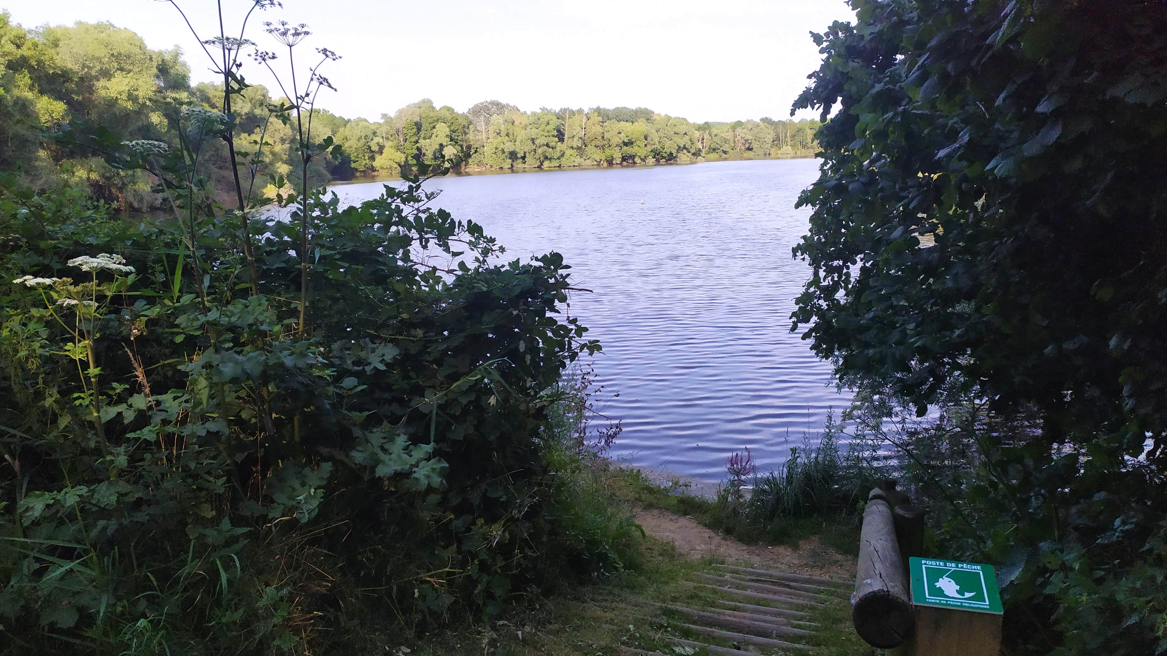 Photo n° 1 de l'avis de R. fait le 23/07/2021 à 18:19