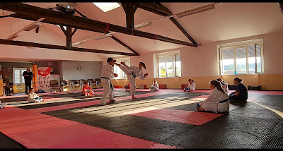 Asaichi Dojo Mattaincourt à Mattaincourt