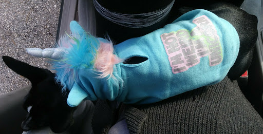 Pet Supply Store «Petco Animal Supplies», reviews and photos, 1951 N Military Trl c, West Palm Beach, FL 33409, USA