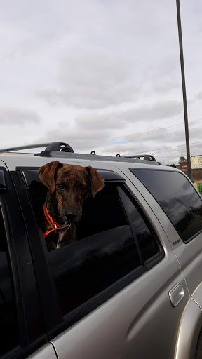 Discount Store «Dollar General Market», reviews and photos, 961 N Ellington Pkwy, Lewisburg, TN 37091, USA