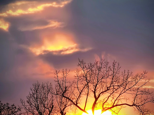 Park «Hinkley Park», reviews and photos, 25 Busse Hwy, Park Ridge, IL 60068, USA