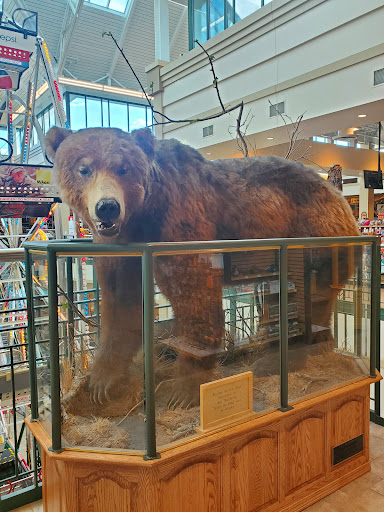 Sporting Goods Store «SCHEELS», reviews and photos, 1551 45th Street SW, Fargo, ND 58103, USA