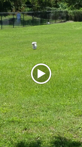 Recreation Center «Apollo Beach Recreation Center», reviews and photos, 664 Golf and Sea Blvd, Apollo Beach, FL 33572, USA