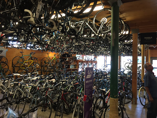 Bicycle Store «Montlake Bicycle Shop», reviews and photos, 2223 24th Ave E, Seattle, WA 98112, USA