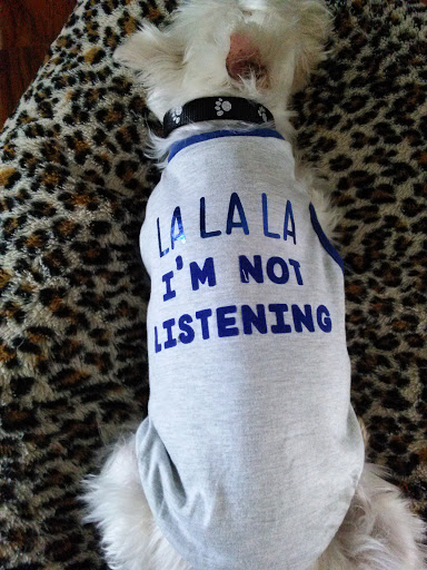 Pet Supply Store «PetSmart», reviews and photos, 1671 E Market St, Harrisonburg, VA 22801, USA