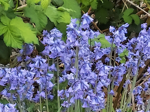 Community Center «SeaTac Community Center», reviews and photos, 13735 24th Ave S, SeaTac, WA 98168, USA