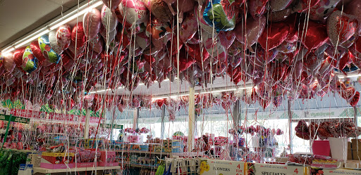 Dollar Store «Dollar Tree», reviews and photos, 8634 Baymeadows Rd, Jacksonville, FL 32256, USA