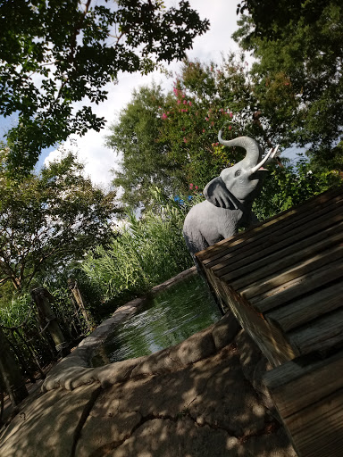 Amusement Park «Adventure Landing Raleigh», reviews and photos, 3311 Capital Blvd, Raleigh, NC 27604, USA