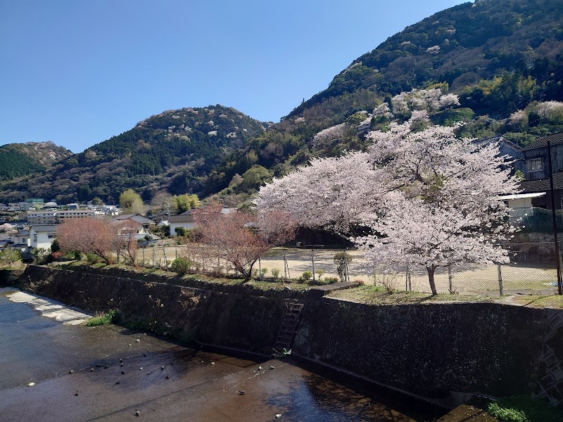 別府市朝見さくら公園