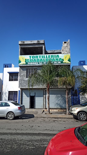 Tortillería Guadalupe/Barbacoa y Menudo