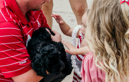 Real Estate Agency «Hamner Real Estate Inc», reviews and photos, 1412 University Blvd, Tuscaloosa, AL 35401, USA