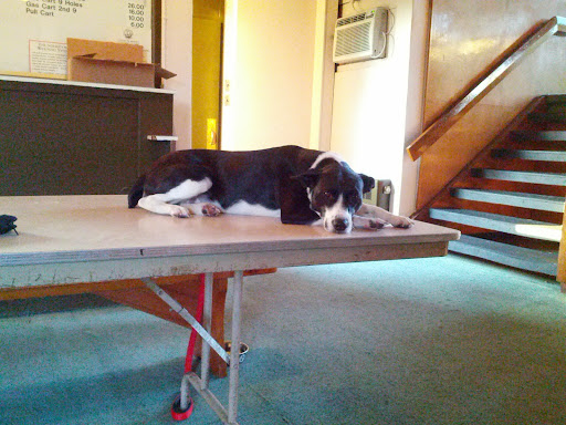 Golf Course «Overpeck Golf Course», reviews and photos, 273 E Cedar Ln, Teaneck, NJ 07666, USA