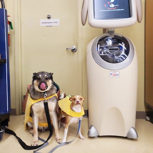 Pet Supply Store «Petco Animal Supplies», reviews and photos, 317 E Trenton Rd, Edinburg, TX 78539, USA