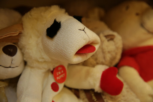 Toy Store «Genuine Toy Co.», reviews and photos, 550 Forest Ave Suite 8, Plymouth, MI 48170, USA