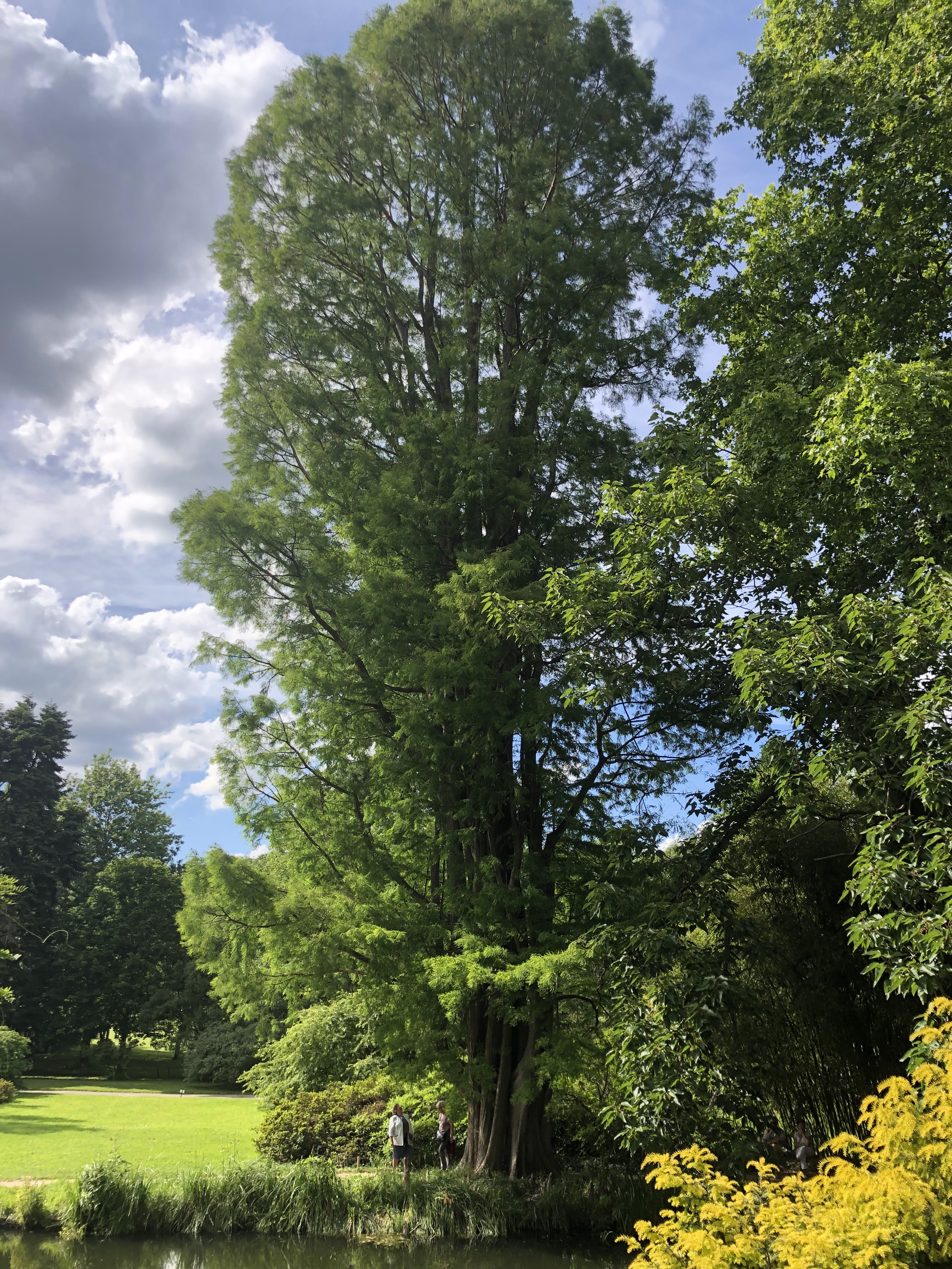 Photo n° 16 de l'avis de Denis.u fait le 18/06/2019 à 20:16