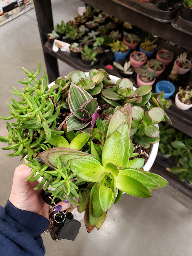 Home Improvement Store «The Home Depot», reviews and photos, 1453 Pleasant St, Bridgewater, MA 02324, USA