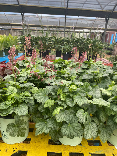 Landscaping Supply Store «Kirkwood Gardens», reviews and photos, 2701 Barrett Station Rd, Ballwin, MO 63021, USA