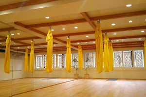 JAPAN YOGA BODY PRO ACADEMY image