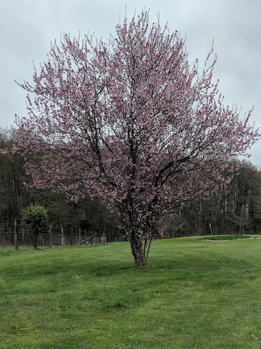 Golf de la Vieille-Bâtie Öffnungszeiten