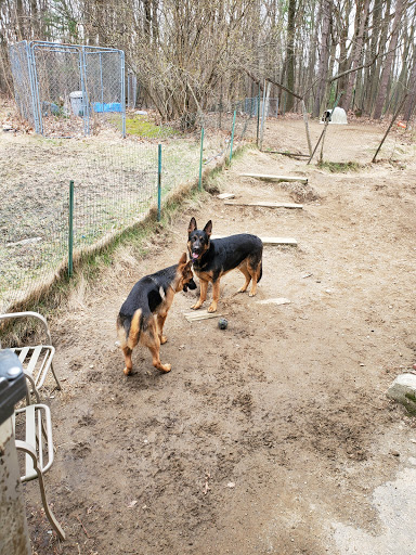 Pet Supply Store «Pets Gone Healthy», reviews and photos, 505 Boston Post Rd W, Marlborough, MA 01752, USA