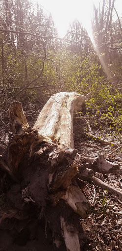 Nature Preserve «DeGraaf Nature Center», reviews and photos, 600 Graafschap Rd, Holland, MI 49423, USA