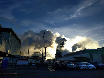 Oji Fibre Solutions - Tasman Mill