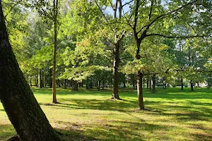 Naugardiškių parkas image