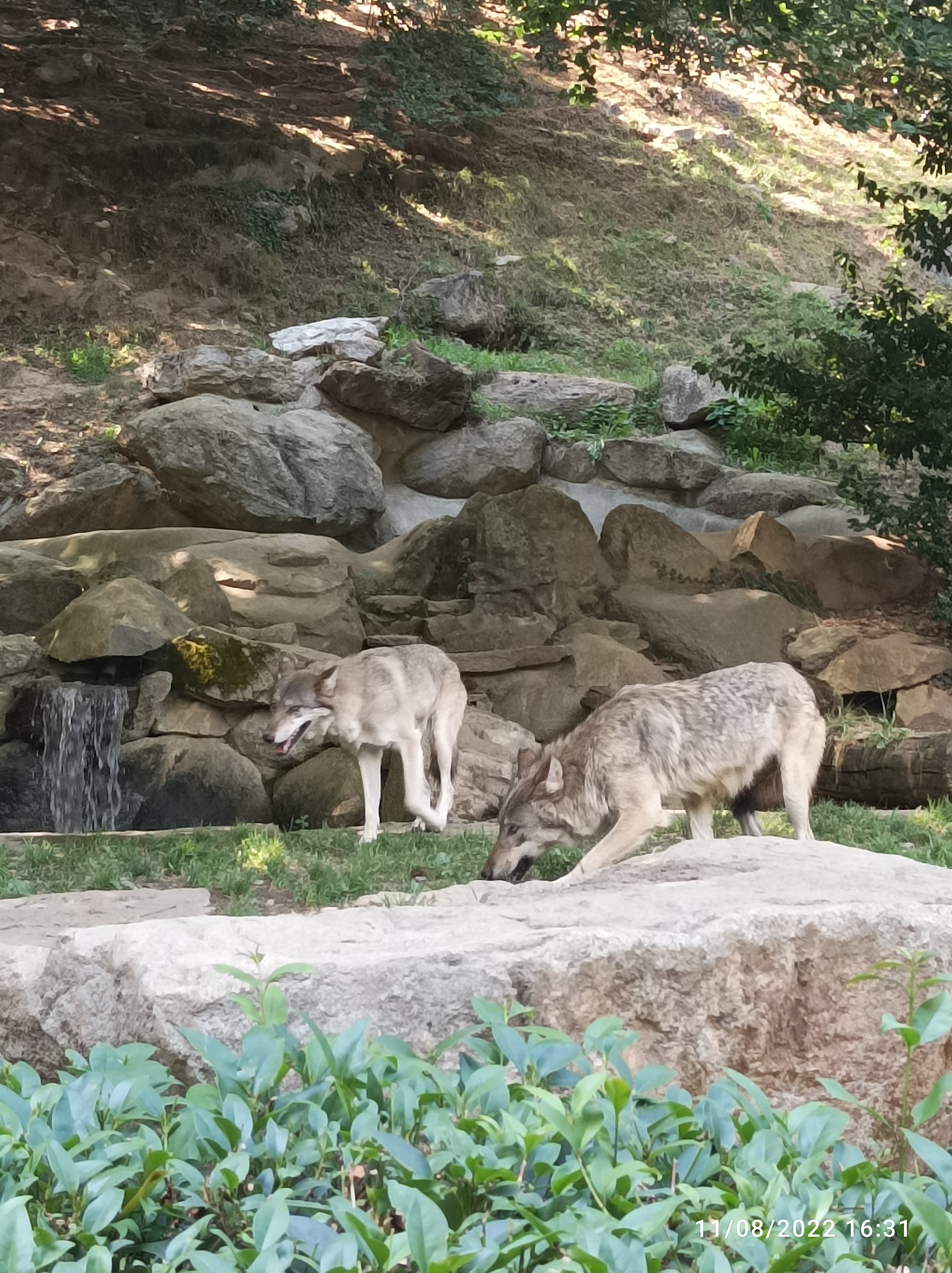 Photo n° 2 de l'avis de aurelie.� fait le 31/08/2019 à 22:43