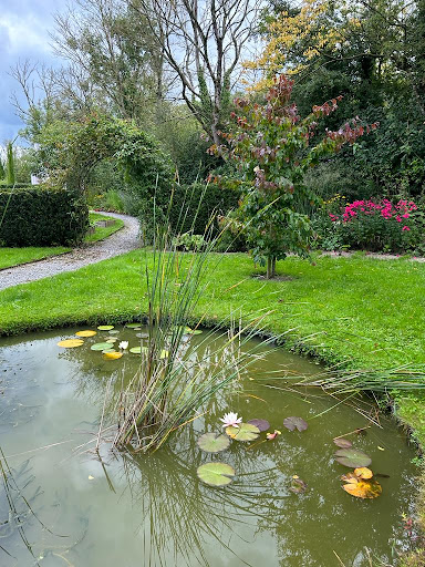 Seamus Healy Landscaping and Groundwork