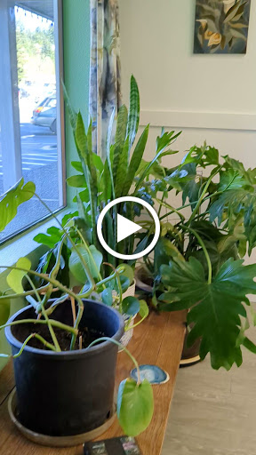 Explore straight edge tattoo ideas, creative tattoo ideas in Kingston, available at Stinging Nettle Studio