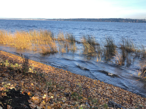 Park «Madrona Park», reviews and photos, 853 Lake Washington Blvd, Seattle, WA 98122, USA