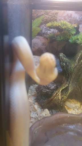 Pet Supply Store «PetSmart», reviews and photos, 1020 Veterans Pkwy #900, Clarksville, IN 47129, USA