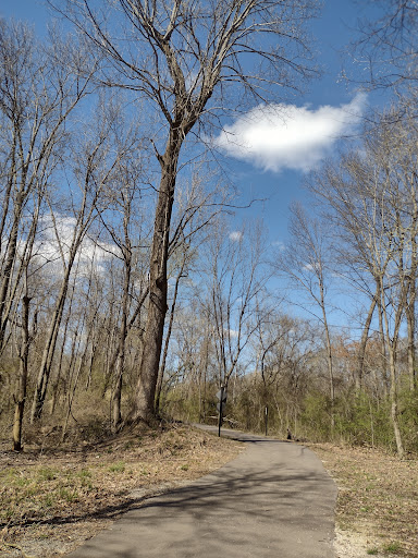 Wolf River Nature Area (East)